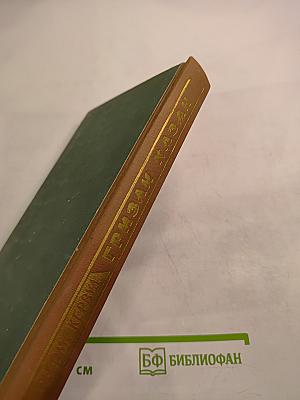 Гризли. Казан