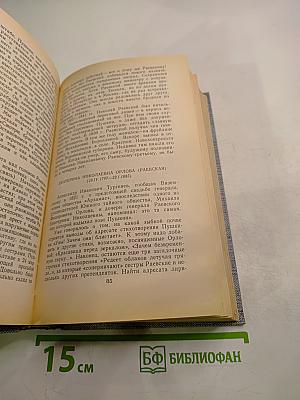 Друзья Пушкина. Переписка, воспоминания, дневники. Том 2