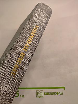Друзья Пушкина. Переписка, воспоминания, дневники. Том 2