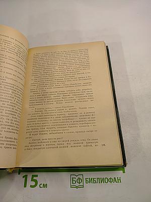 Необыкновенное лето