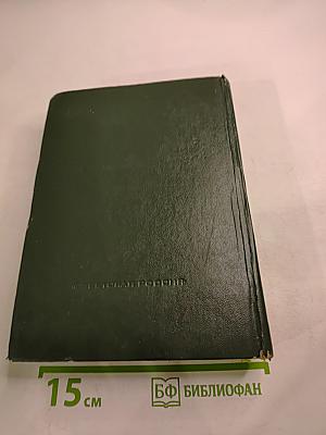 Необыкновенное лето