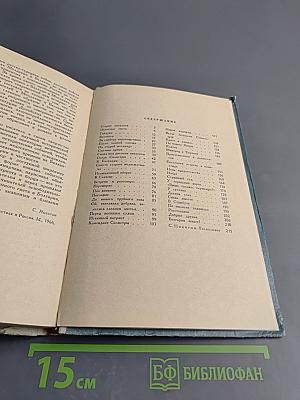 Отважный капитан