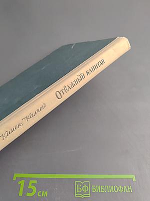 Отважный капитан