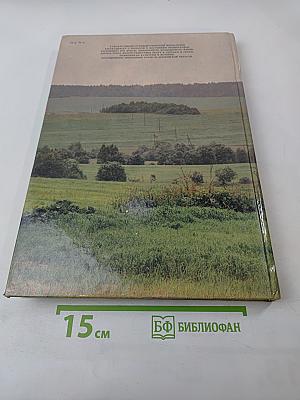 Когда иду я Подмосковьем...