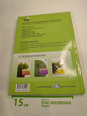 Грибы в вашем саду