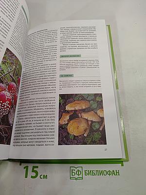 Грибы в вашем саду