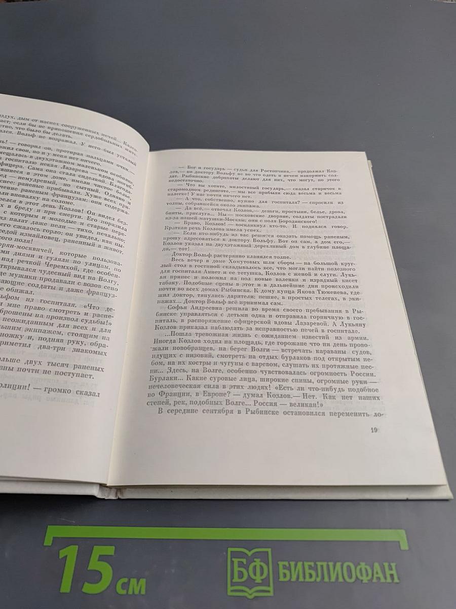 Жизнь и Мира: Художественно-документальная книга о поэте Иване Козлове