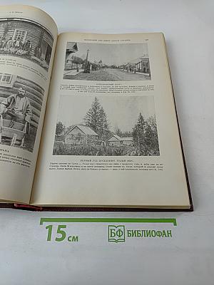 Литературное наследство. Том 87: Из истории русской литературы и общественной мысли 1860-1890-х годов