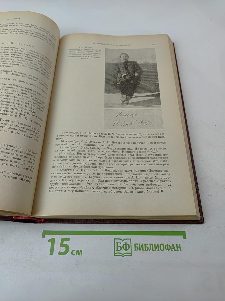 Литературное наследство. Том 87: Из истории русской литературы и общественной мысли 1860-1890-х годов