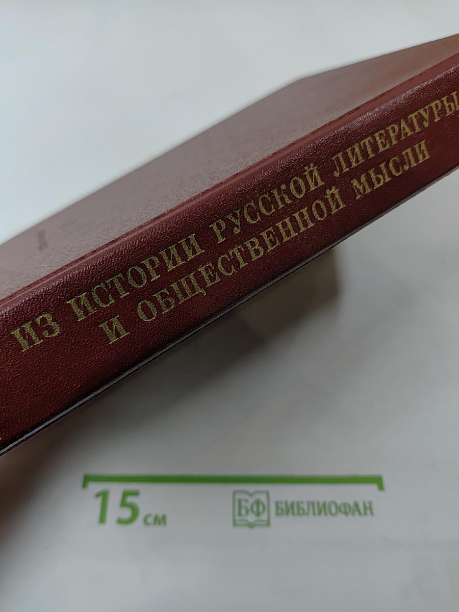 Литературное наследство. Том 87: Из истории русской литературы и общественной мысли 1860-1890-х годов