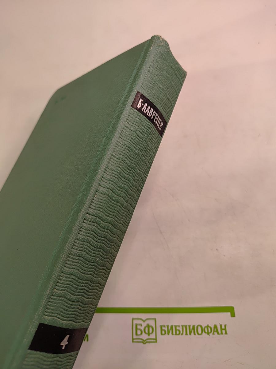 Собрание сочинений. Том четвертый. Романы