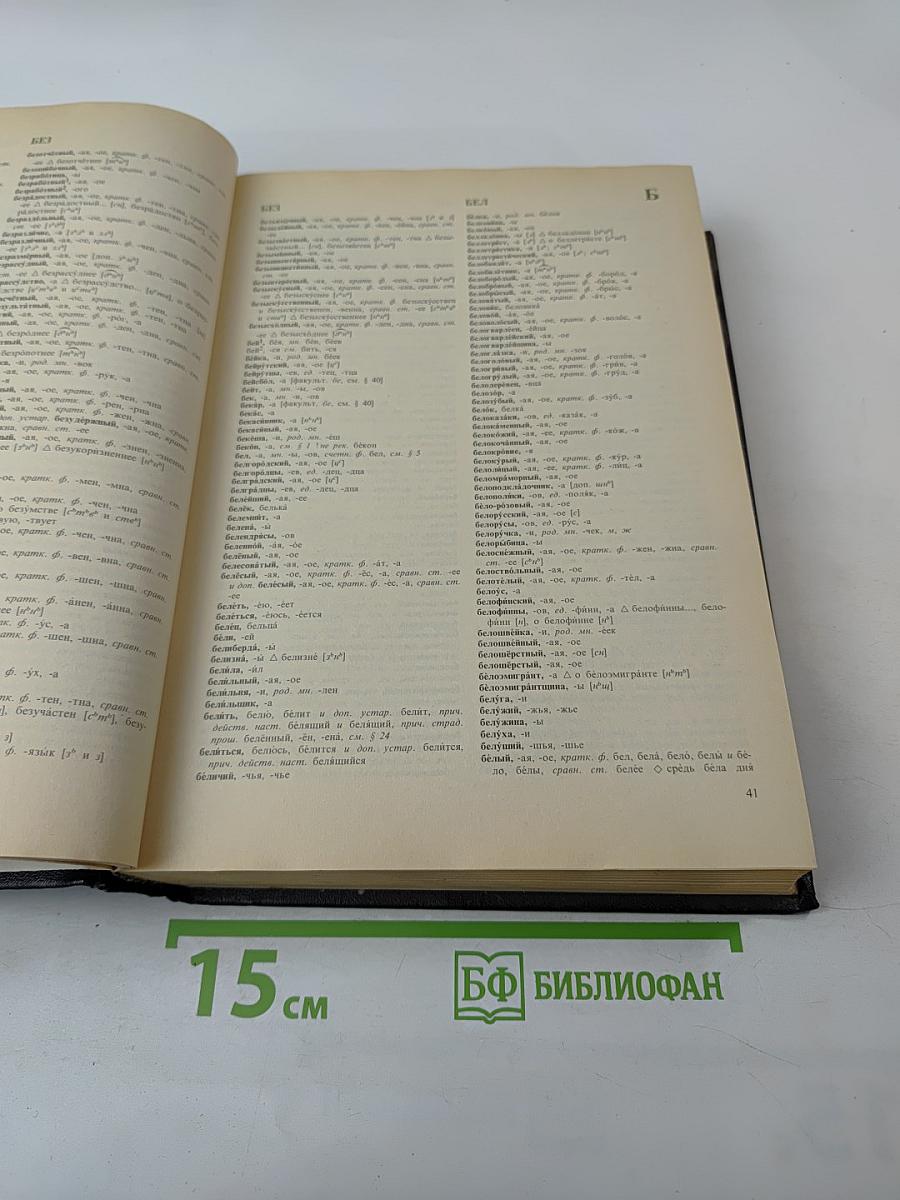 Орфоэпический словарь русского языка: Произношение, ударение, грамматические формы