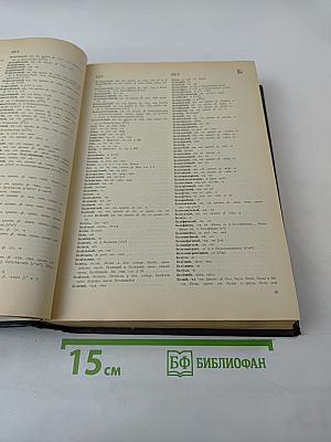 Орфоэпический словарь русского языка: Произношение, ударение, грамматические формы