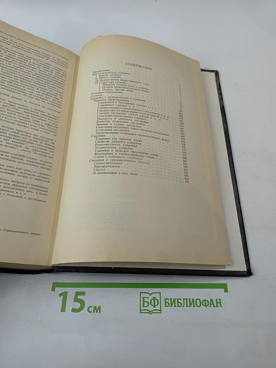 Орфоэпический словарь русского языка: Произношение, ударение, грамматические формы