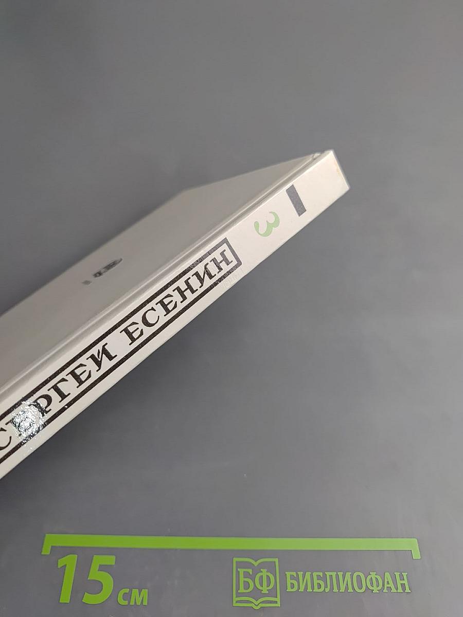 Собрание стихотворений. Том третий