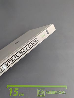 Собрание стихотворений. Том третий