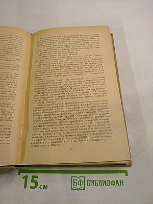 Этих дней не смолкнет слава. Воспоминания участников Гражданской войны
