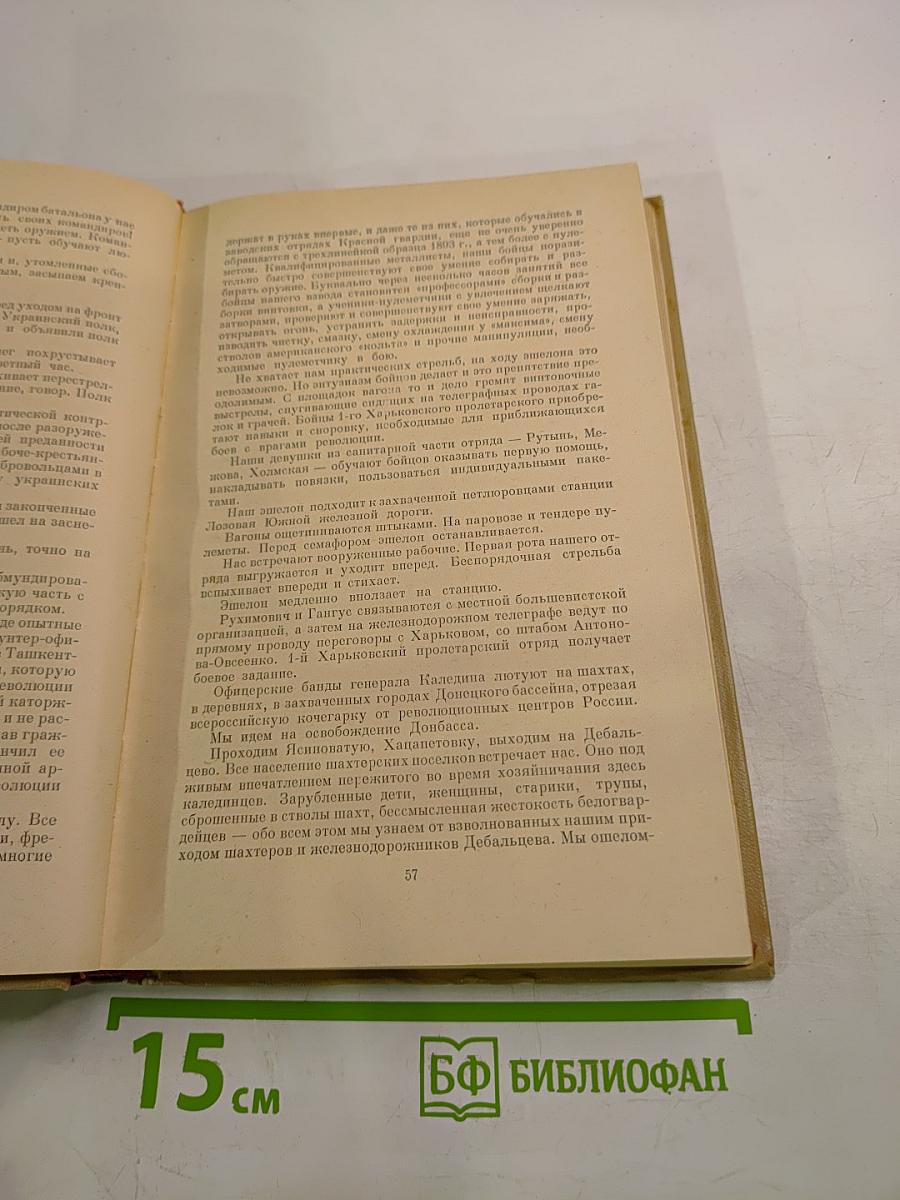 Этих дней не смолкнет слава. Воспоминания участников Гражданской войны