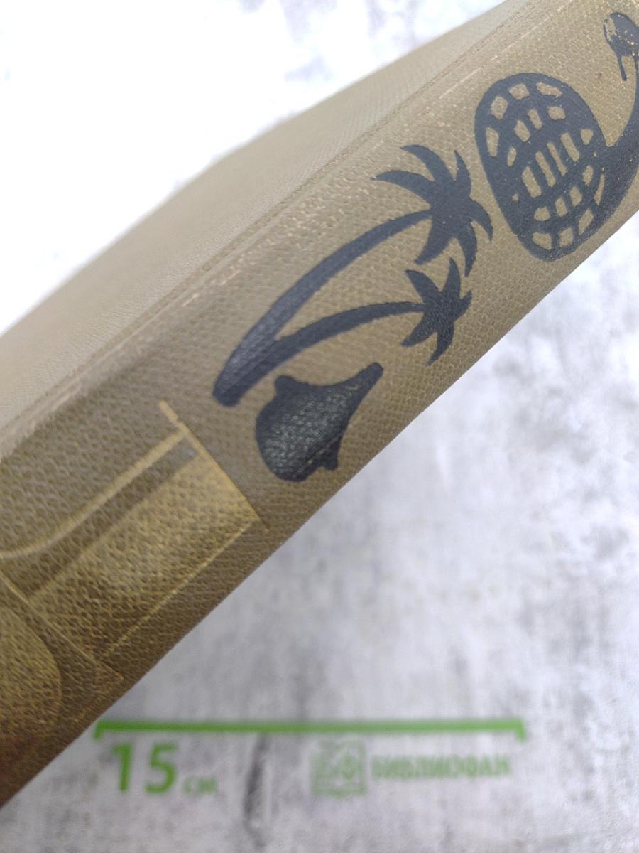 Детская энциклопедия. Том 10. Зарубежные страны