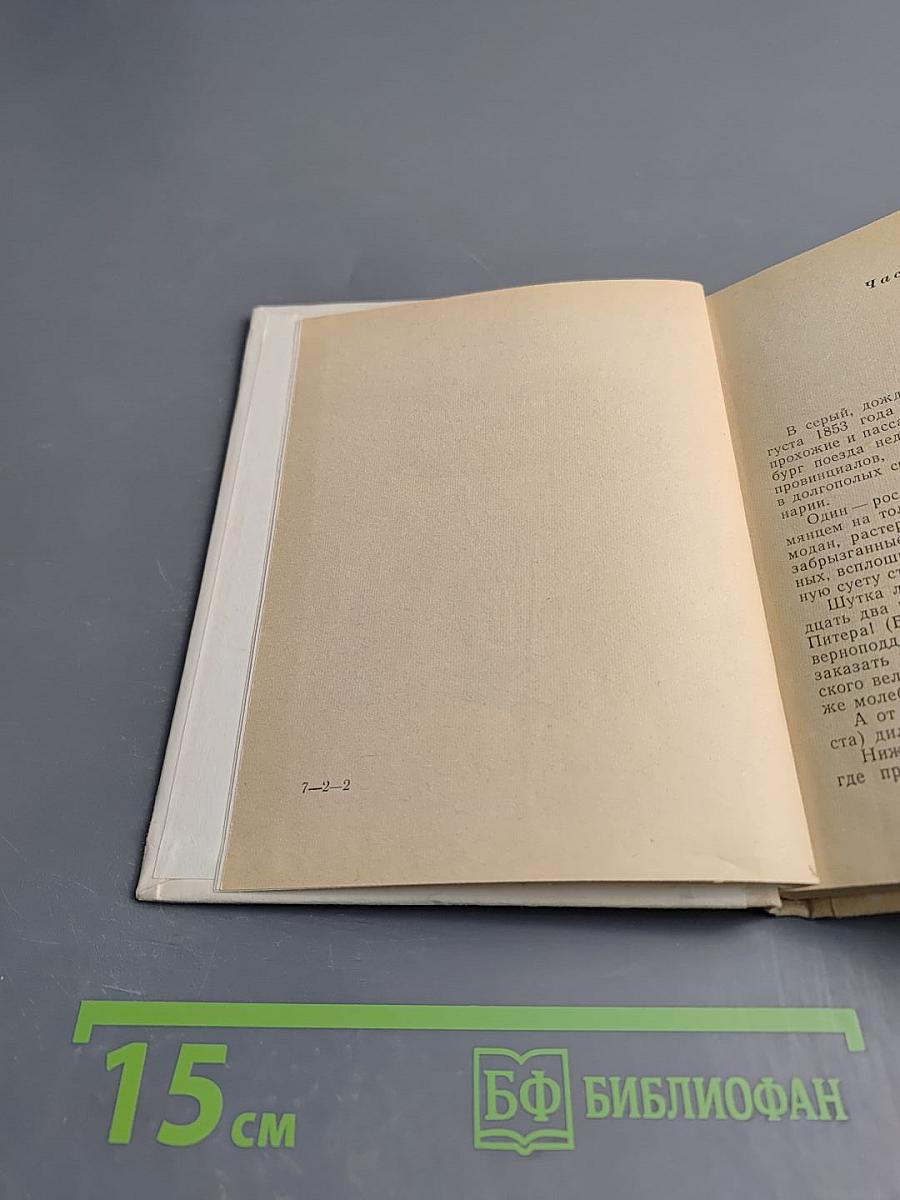 Добролюбов в Петербурге