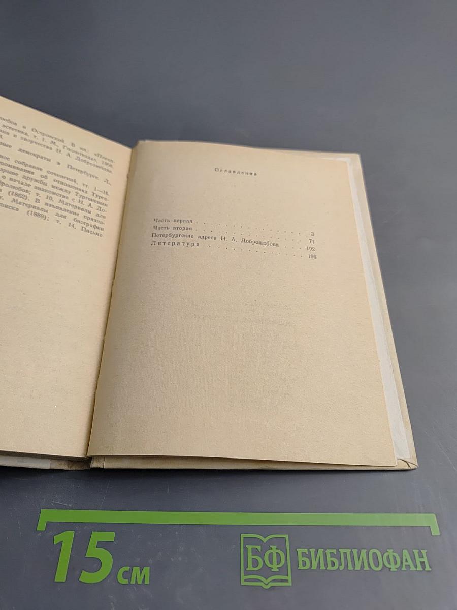 Добролюбов в Петербурге