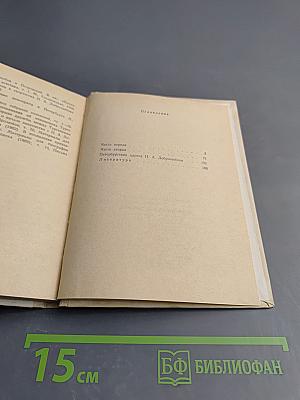 Добролюбов в Петербурге