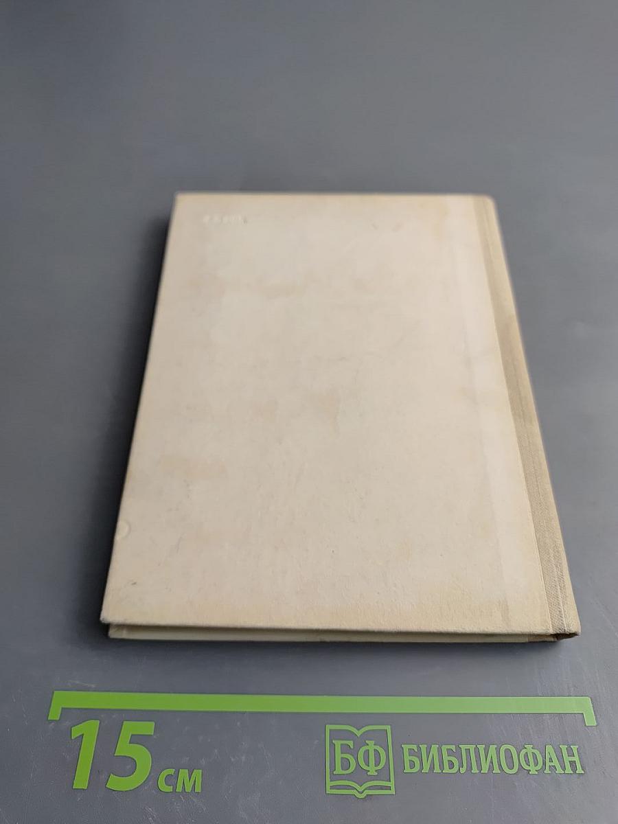 Добролюбов в Петербурге