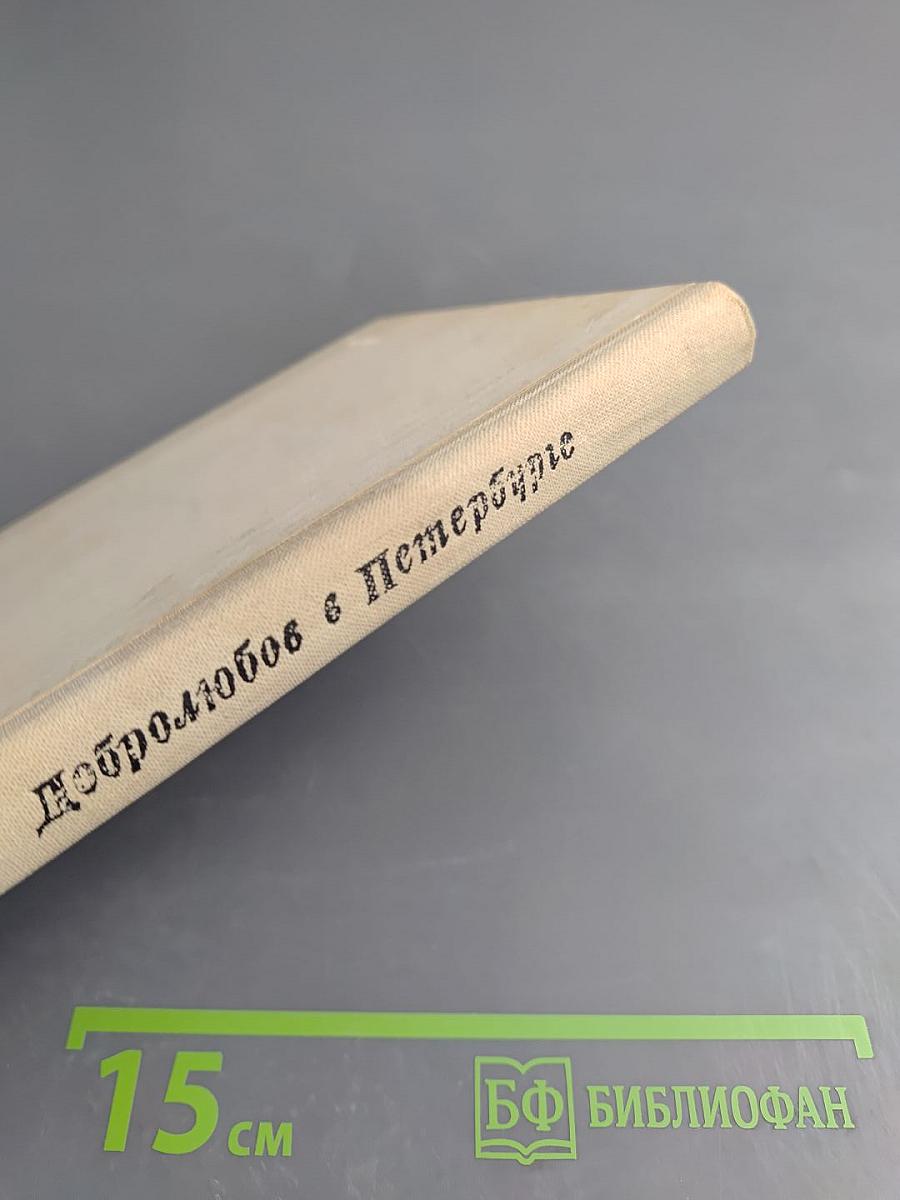 Добролюбов в Петербурге