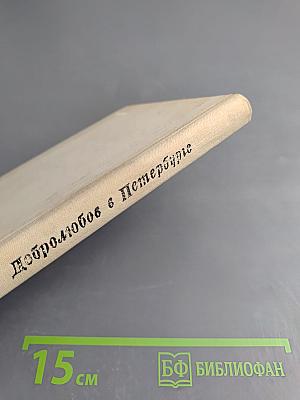 Добролюбов в Петербурге