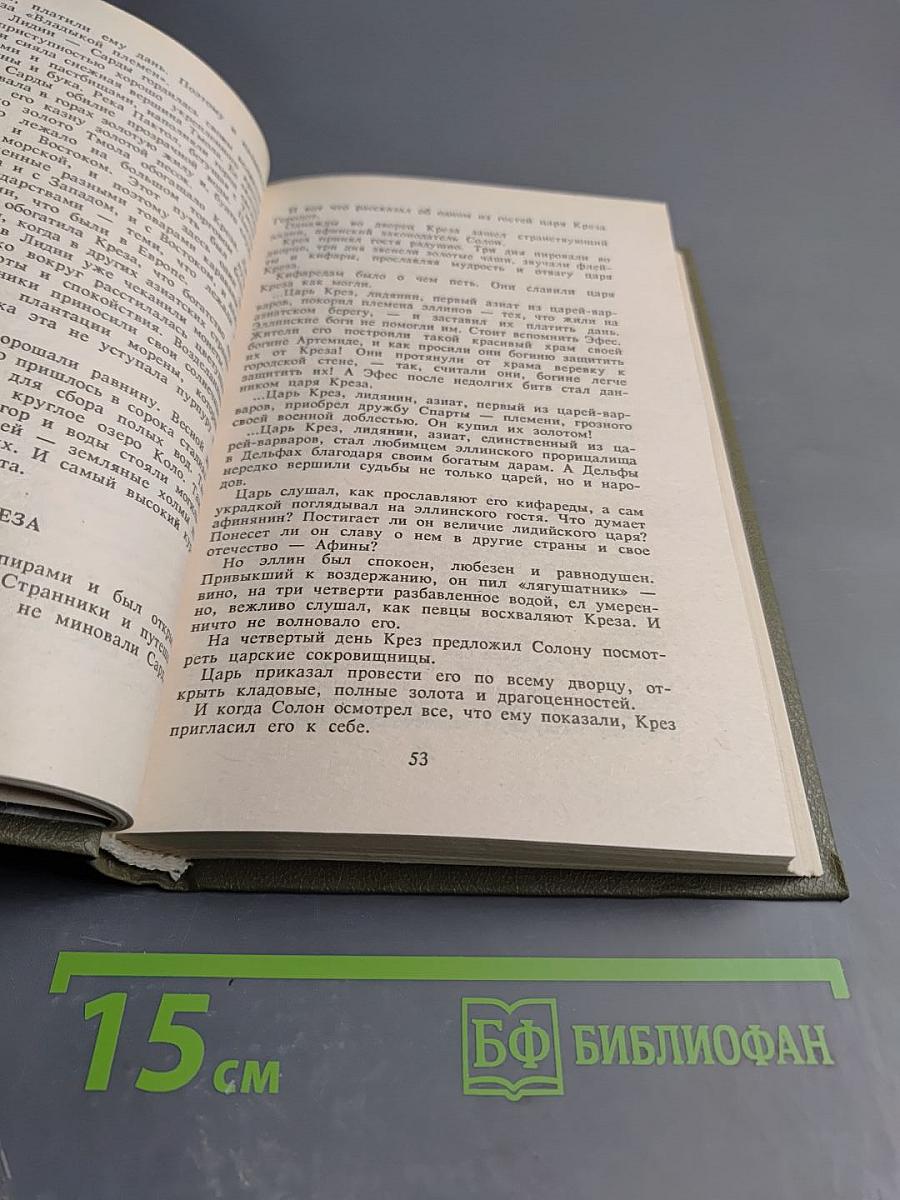 Сага огненной жизни. Мессенские войны. Герой Саламина