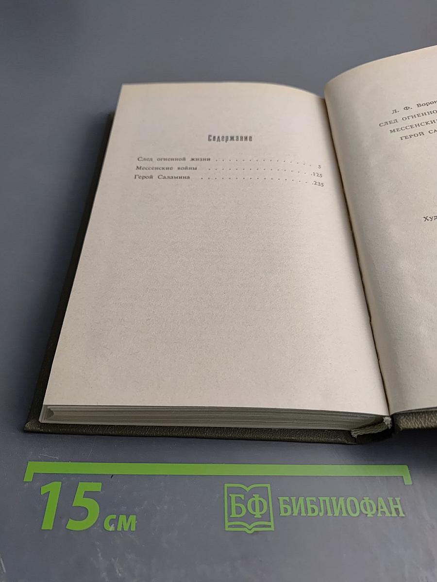 Сага огненной жизни. Мессенские войны. Герой Саламина