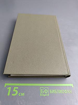 Сага огненной жизни. Мессенские войны. Герой Саламина