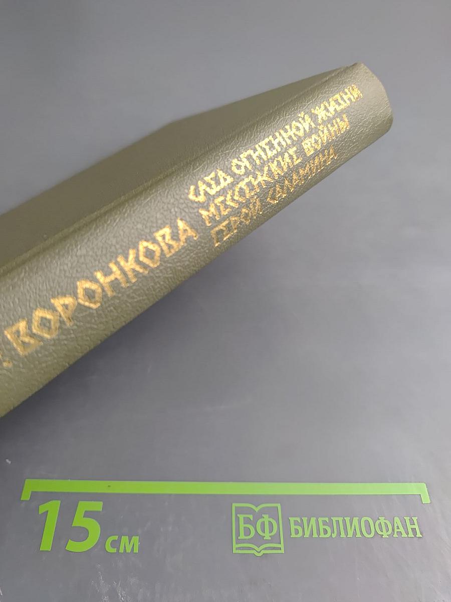 Сага огненной жизни. Мессенские войны. Герой Саламина