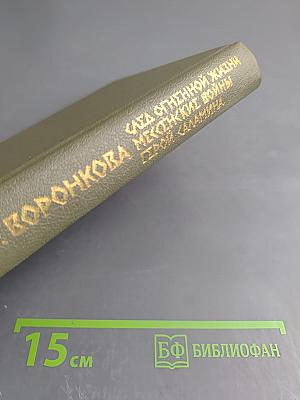 Сага огненной жизни. Мессенские войны. Герой Саламина