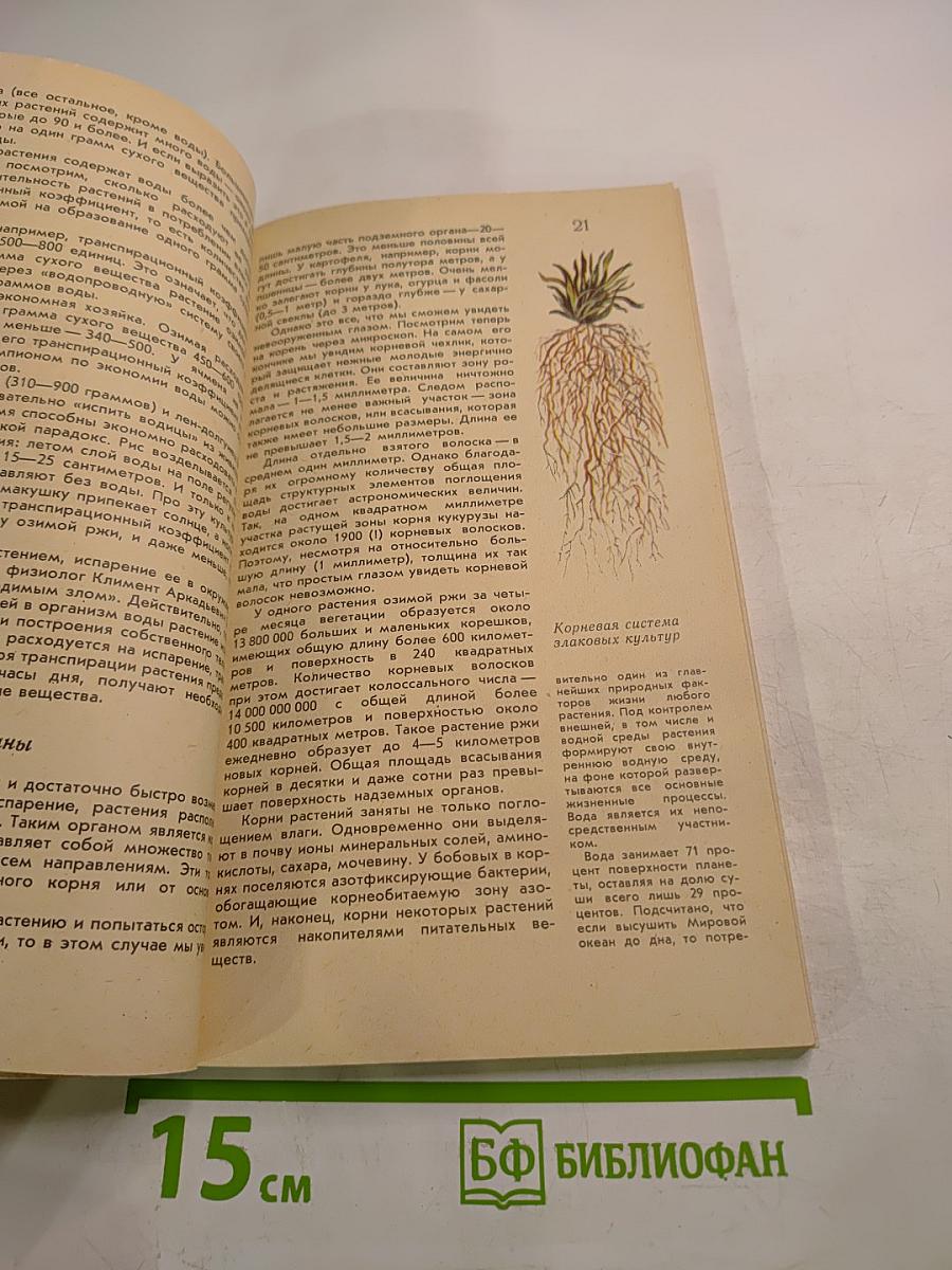 Занимательная агрономия