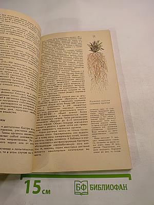 Занимательная агрономия