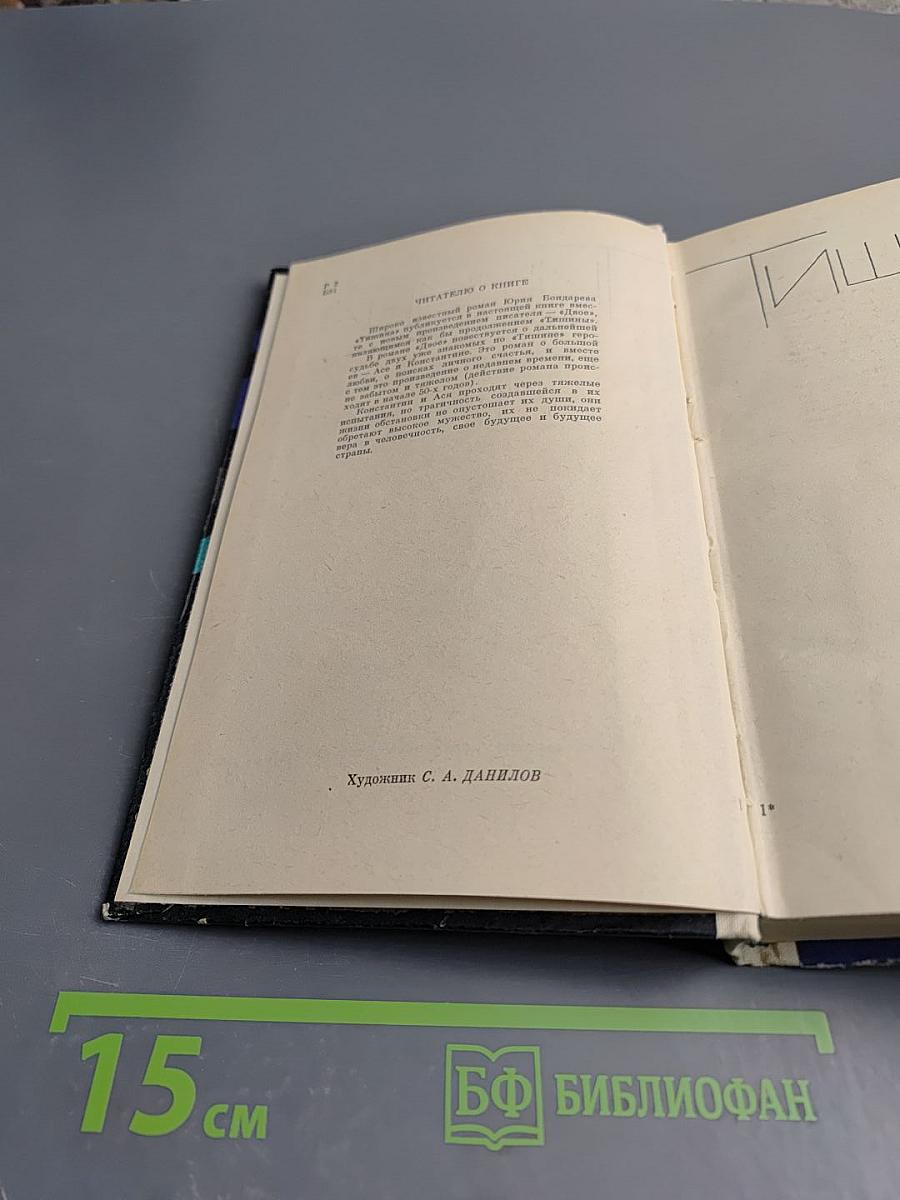 Тишина. Двое