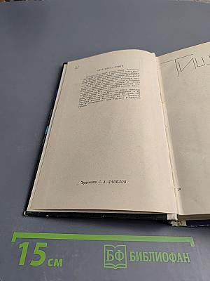 Тишина. Двое