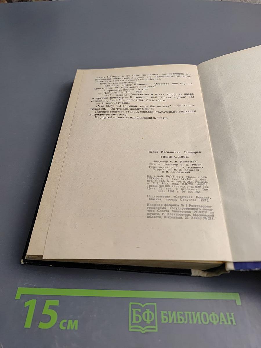 Тишина. Двое