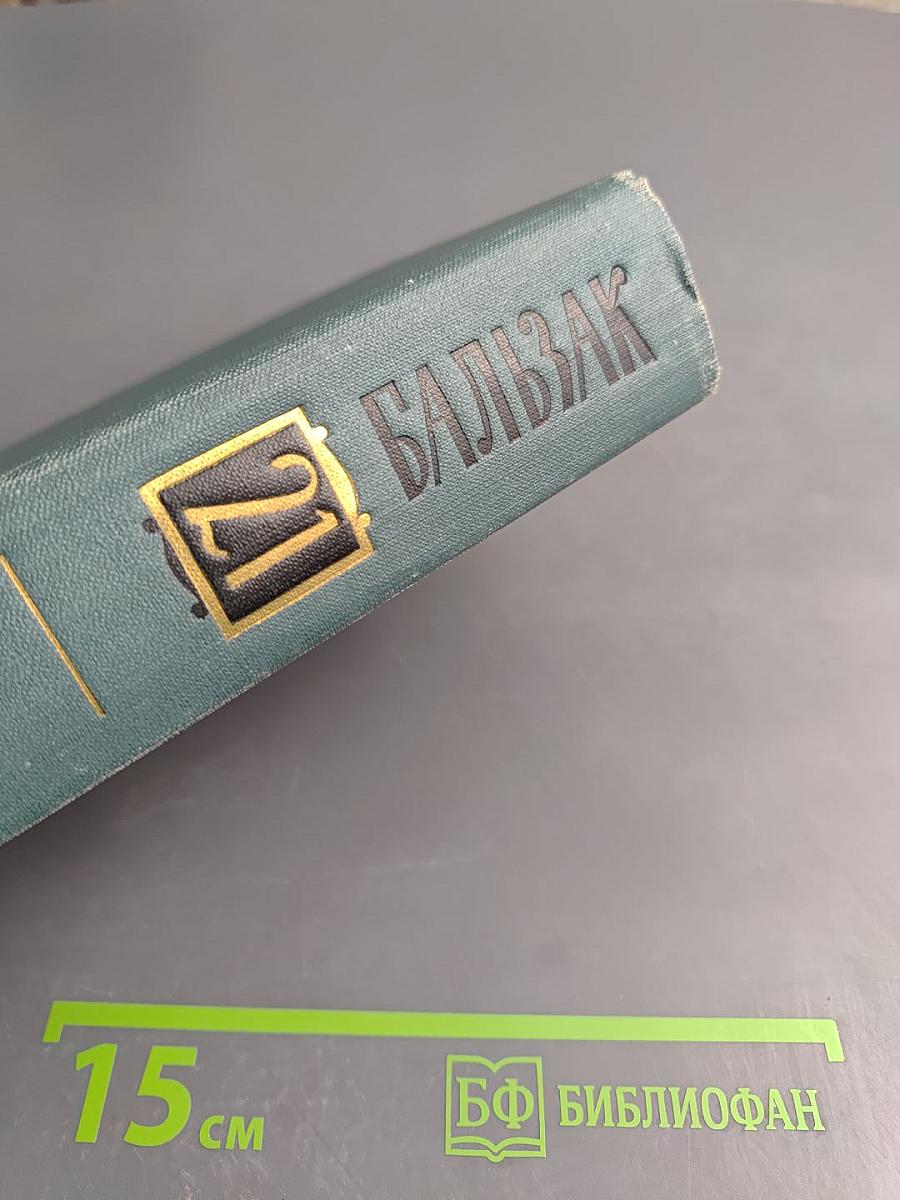 Собрание сочинений в 24 томах. Том 21. Человеческая комедия. Озорные рассказы