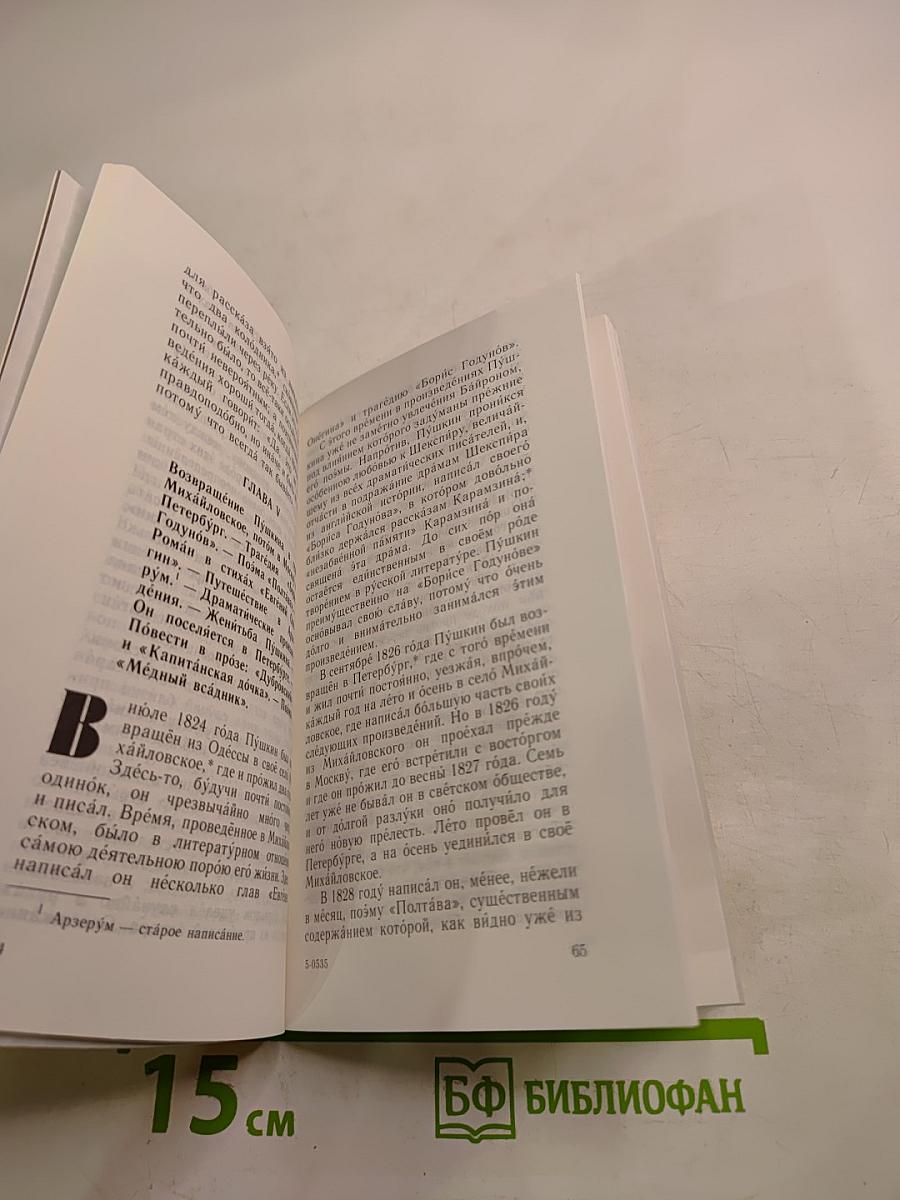 О русских писателях