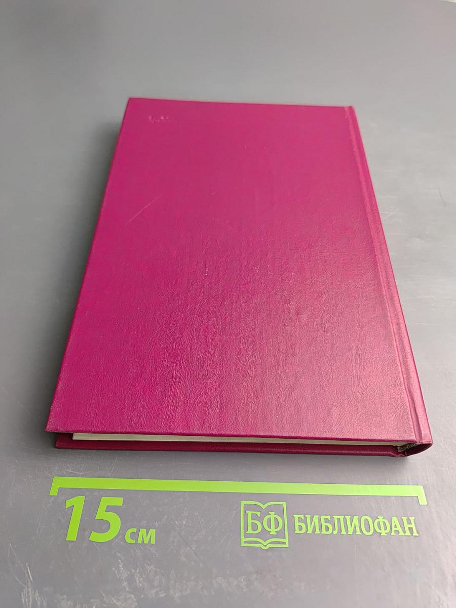 Энциклопедия русской жизни. Роман и повесть в России второй половины XVIII - начала XX века