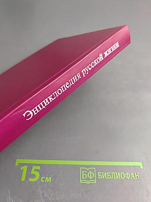 Энциклопедия русской жизни. Роман и повесть в России второй половины XVIII - начала XX века