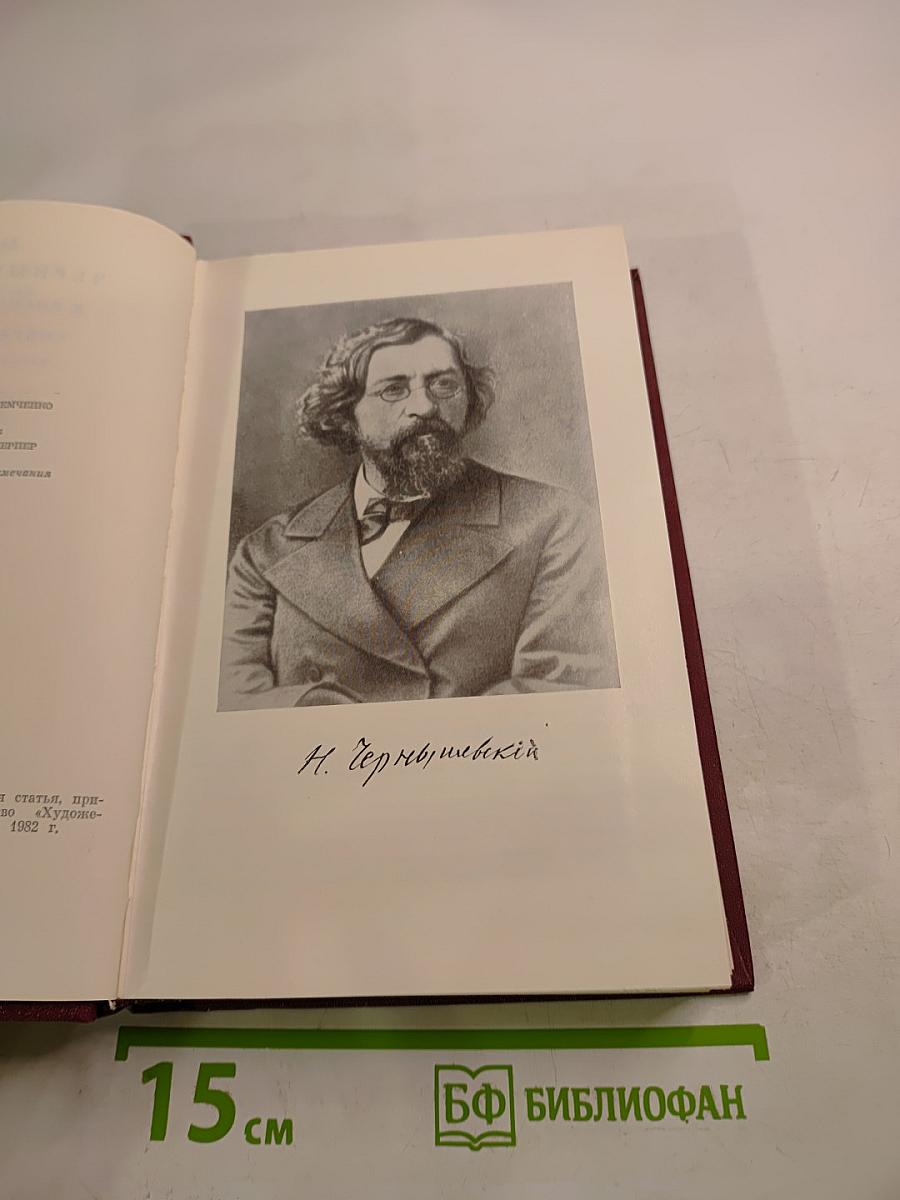 Н. Г. Чернышевский в воспоминаниях современников