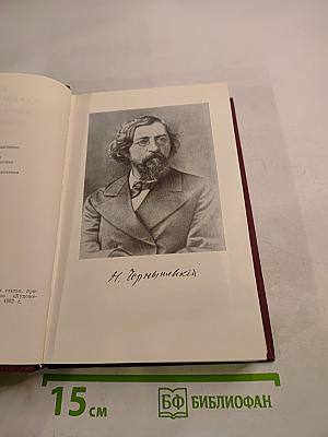 Н. Г. Чернышевский в воспоминаниях современников