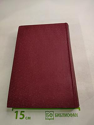 Н. Г. Чернышевский в воспоминаниях современников