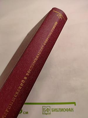 Н. Г. Чернышевский в воспоминаниях современников