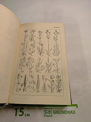 The Oxford-Duden Pictorial English Dictionary