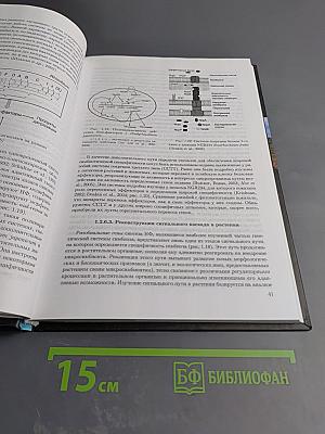 Симбиозы растений и микроорганизмов