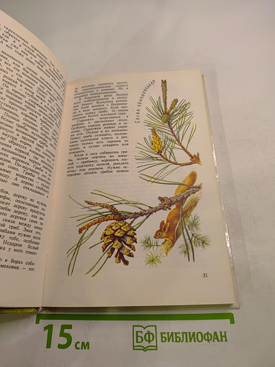 Войди в зелёный мир